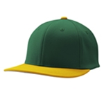fg3 - forest green/ forest green/ gold