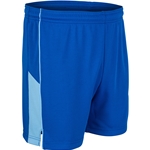 royal/light blue